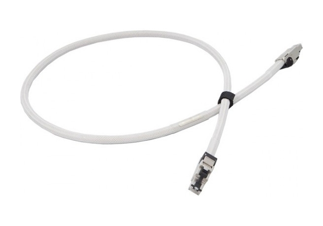 dCBL-CAT6