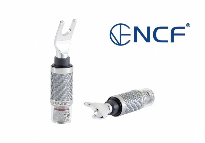 CF-201_NCF