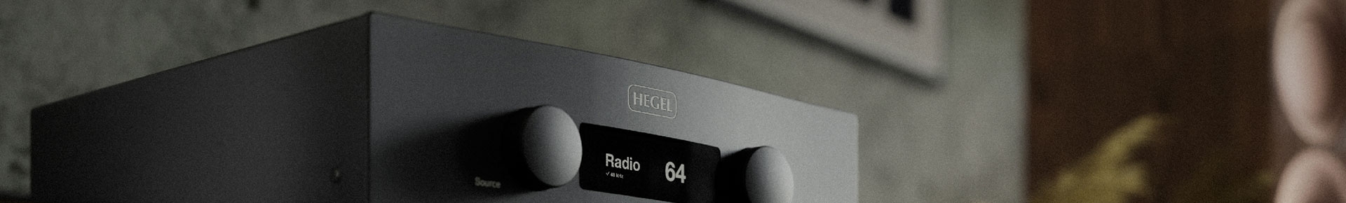 Hegel_Campanha_45